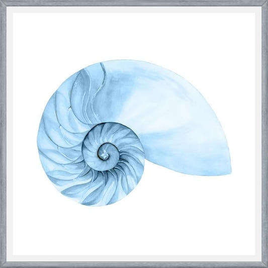 Cuadro Concha azul 4