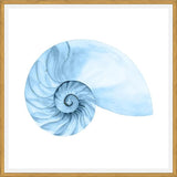 Cuadro Concha azul 4