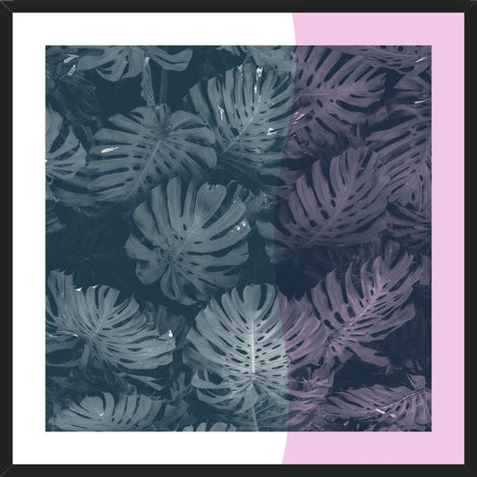 Cuadro Tropical Leaves Pink
