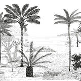 Canvas Palmeras B&W