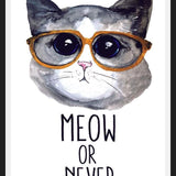Cuadro Gatito con lentes