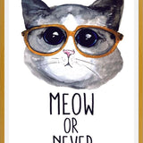 Cuadro Gatito con lentes