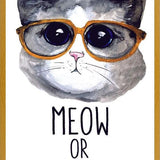Cuadro Gatito con lentes