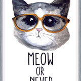 Cuadro Gatito con lentes