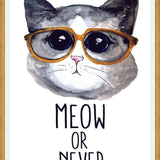 Cuadro Gatito con lentes