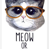 Cuadro Gatito con lentes