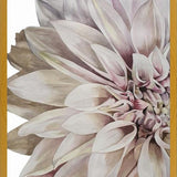 Cuadro Flor Dalia 2