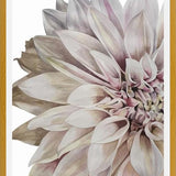 Cuadro Flor Dalia 2