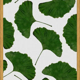 Cuadro Ginkgo Leaf II