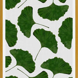 Cuadro Ginkgo Leaf II