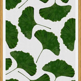 Cuadro Ginkgo Leaf II