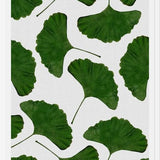 Cuadro Ginkgo Leaf II