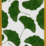 Cuadro Ginkgo Leaf II