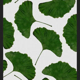 Cuadro Ginkgo Leaf II