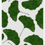 Cuadro Ginkgo Leaf II