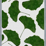 Cuadro Ginkgo Leaf II
