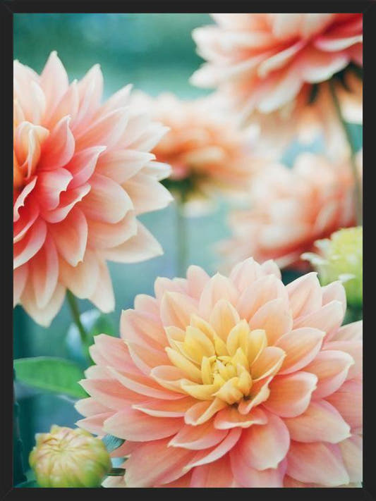 Cuadro Happy Flowers