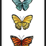 Cuadro Mariposas <3