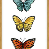Cuadro Mariposas <3
