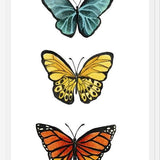 Cuadro Mariposas <3