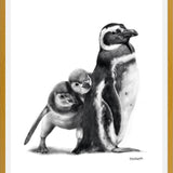 Cuadro Familia Pingüinos de Humboldt