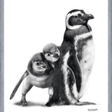 Cuadro Familia Pingüinos de Humboldt