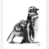 Cuadro Familia Pingüinos de Humboldt