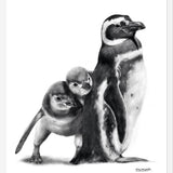 Cuadro Familia Pingüinos de Humboldt