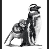 Cuadro Familia Pingüinos de Humboldt