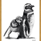 Cuadro Familia Pingüinos de Humboldt