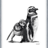 Cuadro Familia Pingüinos de Humboldt