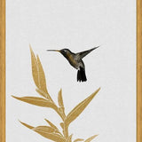 Cuadro Hummingbird and Flower II