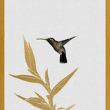 Cuadro Hummingbird and Flower II