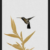 Cuadro Hummingbird and Flower II