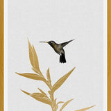 Cuadro Hummingbird and Flower II