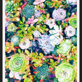 Cuadro Watercolor Succulents