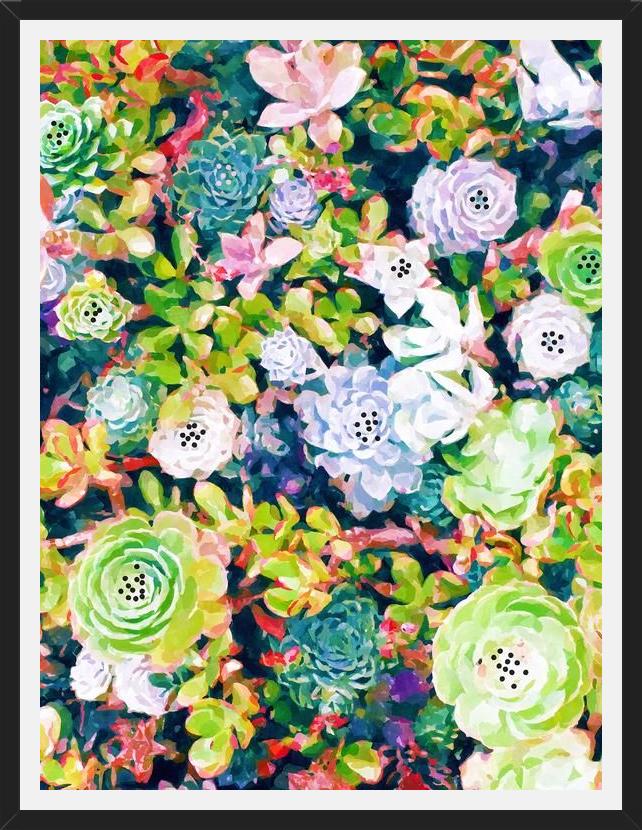 Cuadro Watercolor Succulents