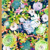 Cuadro Watercolor Succulents