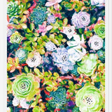 Cuadro Watercolor Succulents