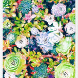 Cuadro Watercolor Succulents