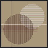 Cuadro Transparent Circles with Lines