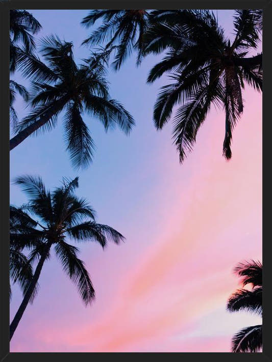 Cuadro Sunset Palms