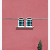 Cuadro Las ventanas y el pino