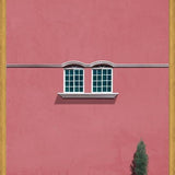 Cuadro Las ventanas y el pino