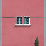 Cuadro Las ventanas y el pino