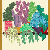 Cuadro cactus en maceta