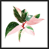 Cuadro pink princess