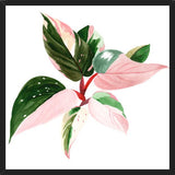 Cuadro pink princess
