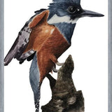 Cuadro Martín pescador