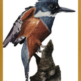 Cuadro Martín pescador